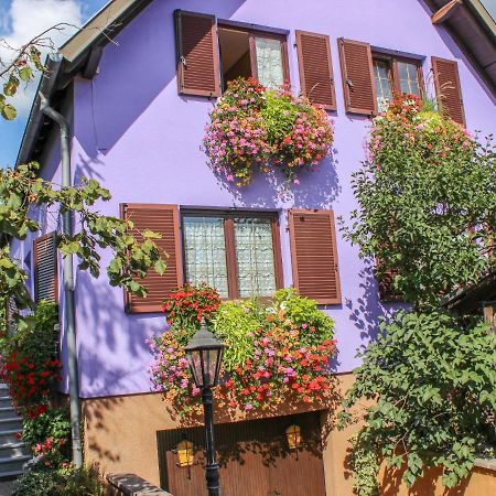 Apartment Residence Jaune Et Rose-2 By Interhome Маркольсайм Екстер'єр фото