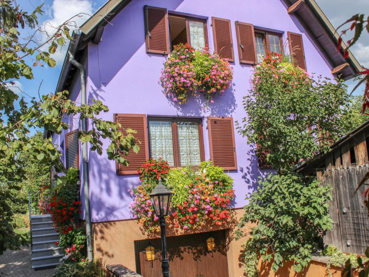 Apartment Residence Jaune Et Rose-2 By Interhome Маркольсайм Екстер'єр фото